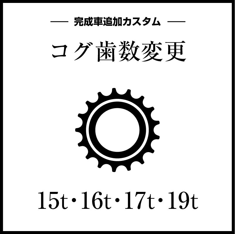 Bike Custom (Gear Ratio Change)