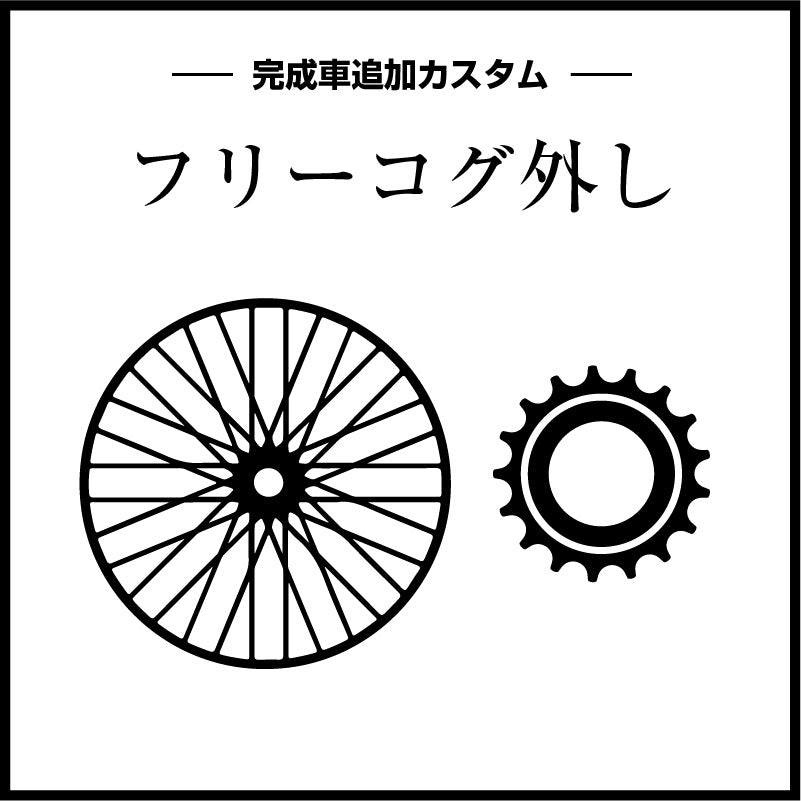 Bike Custom (remove freewheel)