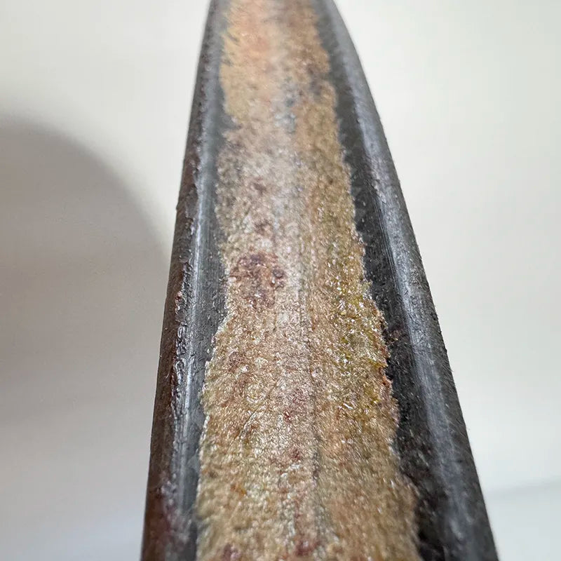 【C】ARAYA Disk Wheel for Rear / fixed gear hub