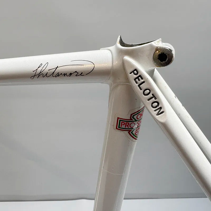 【A】PELOTON NJS /510/520/Rear110