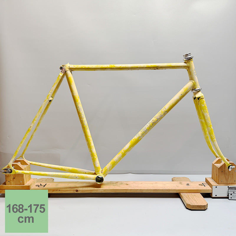 【C】LEVANT NJS /520/535/Rear120